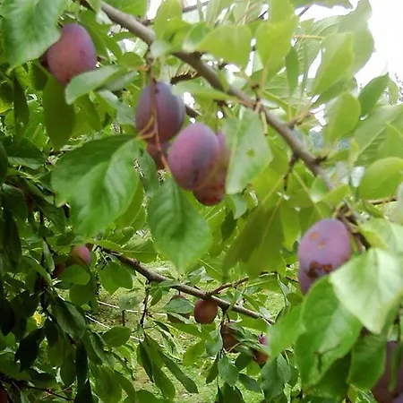 Kyriad Direct Agen Ξενοδοχείο